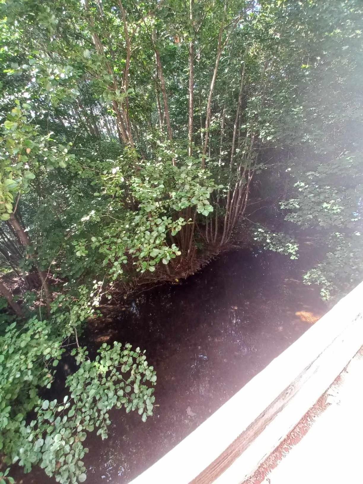 Gite De L'Ours Saint-Maurice-sur-Moselle Exterior foto
